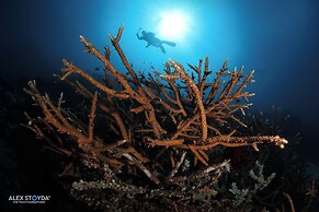 Mahi Mahi Dive Resort