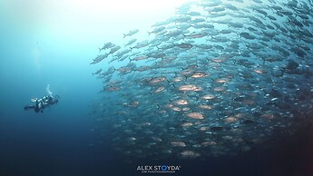 Mahi Mahi Dive Resort