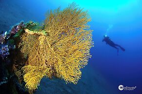 Mahi Mahi Dive Resort