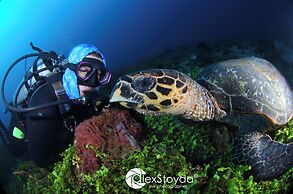 Mahi Mahi Dive Resort