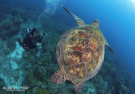 Mahi Mahi Dive Resort