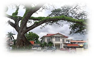 Mahi Mahi Dive Resort