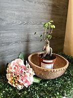 Magical View Homestay at The Robertson