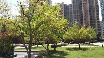 Beijing Haisheng Jialin Aparthotel