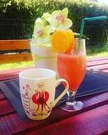 Vila Olivera Niska Banja