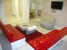 Vila Olivera Niska Banja