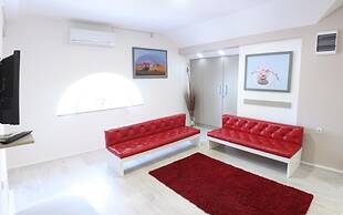 Vila Olivera Niska Banja