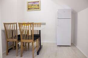 Vila Olivera Niska Banja