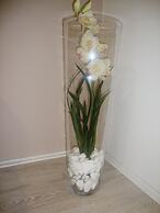 Vila Olivera Niska Banja