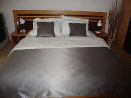 Vila Olivera Niska Banja