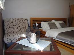 Vila Olivera Niska Banja