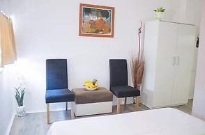 Vila Olivera Niska Banja