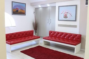 Vila Olivera Niska Banja