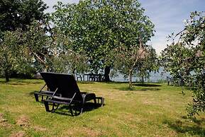 La Folaga del Trasimeno