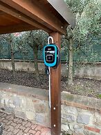 La Folaga del Trasimeno