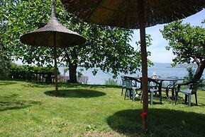 La Folaga del Trasimeno