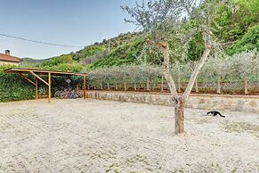 La Folaga del Trasimeno