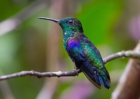 Hacienda Hotel El Percal