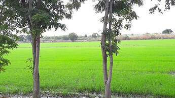 Pun Na Homestay Bangsai