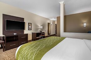 Comfort Inn & Suites Cedar Rapids CID Eastern Iowa Airport