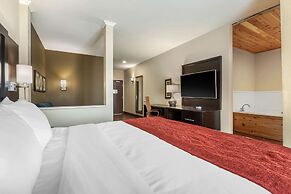 Comfort Inn & Suites Cedar Rapids CID Eastern Iowa Airport