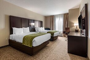 Comfort Inn & Suites Cedar Rapids CID Eastern Iowa Airport