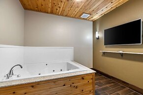 Comfort Inn & Suites Cedar Rapids CID Eastern Iowa Airport