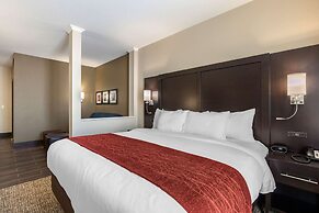 Comfort Inn & Suites Cedar Rapids CID Eastern Iowa Airport