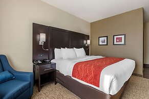 Comfort Inn & Suites Cedar Rapids CID Eastern Iowa Airport