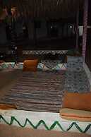 Oasis Fighting Kangaroo