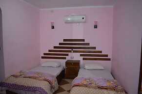 Oasis Fighting Kangaroo