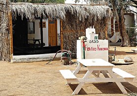 Oasis Fighting Kangaroo