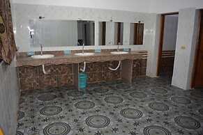 Oasis Fighting Kangaroo