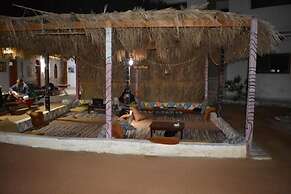 Oasis Fighting Kangaroo