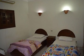 Oasis Fighting Kangaroo