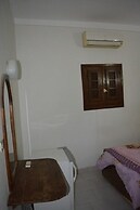 Oasis Fighting Kangaroo