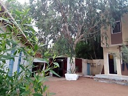 Oasis Fighting Kangaroo