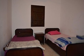 Oasis Fighting Kangaroo