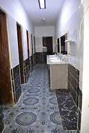 Oasis Fighting Kangaroo