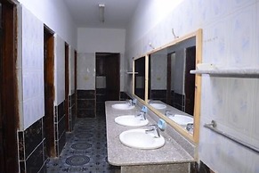 Oasis Fighting Kangaroo