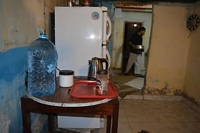 Oasis Fighting Kangaroo