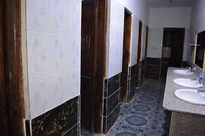 Oasis Fighting Kangaroo