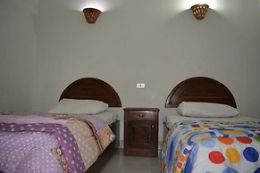 Oasis Fighting Kangaroo