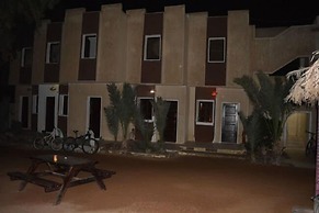 Oasis Fighting Kangaroo