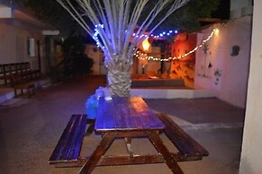 Oasis Fighting Kangaroo