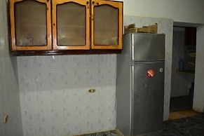 Oasis Fighting Kangaroo