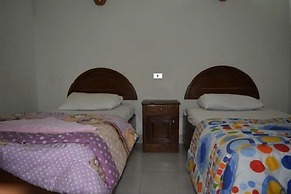 Oasis Fighting Kangaroo