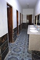 Oasis Fighting Kangaroo