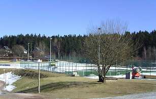 Falkenstein Aparts