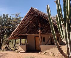 Maji Moto Maasai Cultural Camp